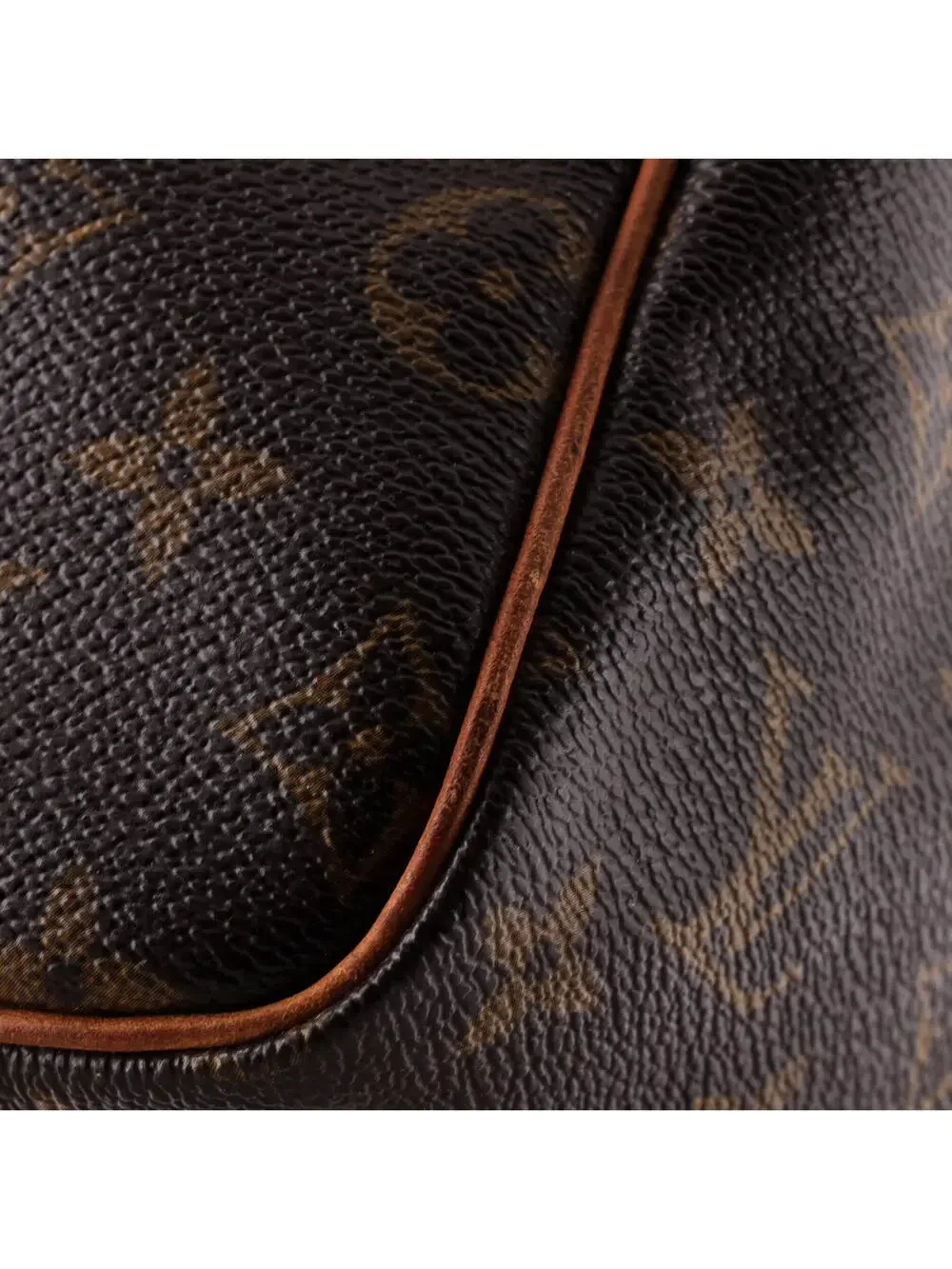 Louis Vuitton Speedy Handbag Canvas 30 #333613L14B